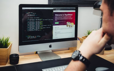 Find Reliable Website Development Agency Tips